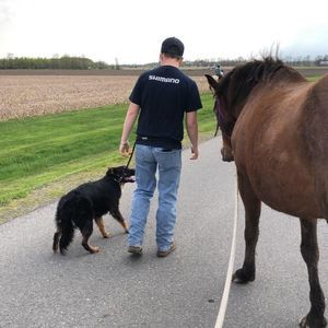 Meet your Posher, Tori